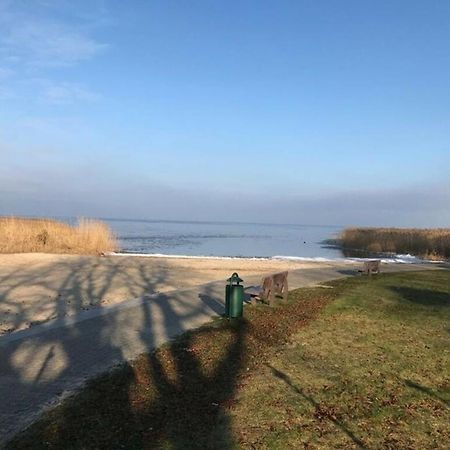 Ferien-Bungalow Im Seebad Ueckermuendeot Bellin Eksteriør bilde